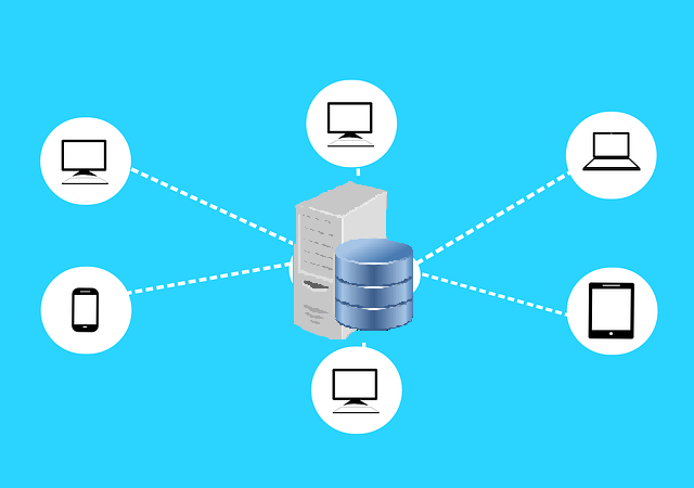 Networking Services